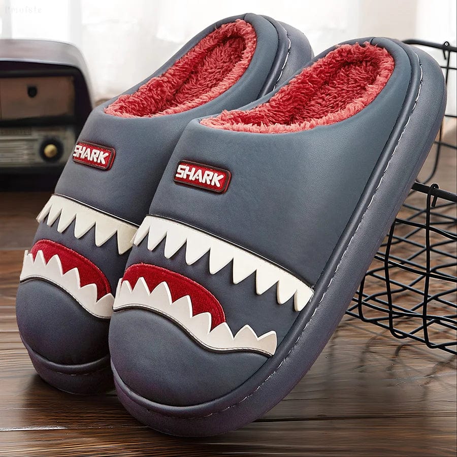 Chausson Rigolo Homme - Requin