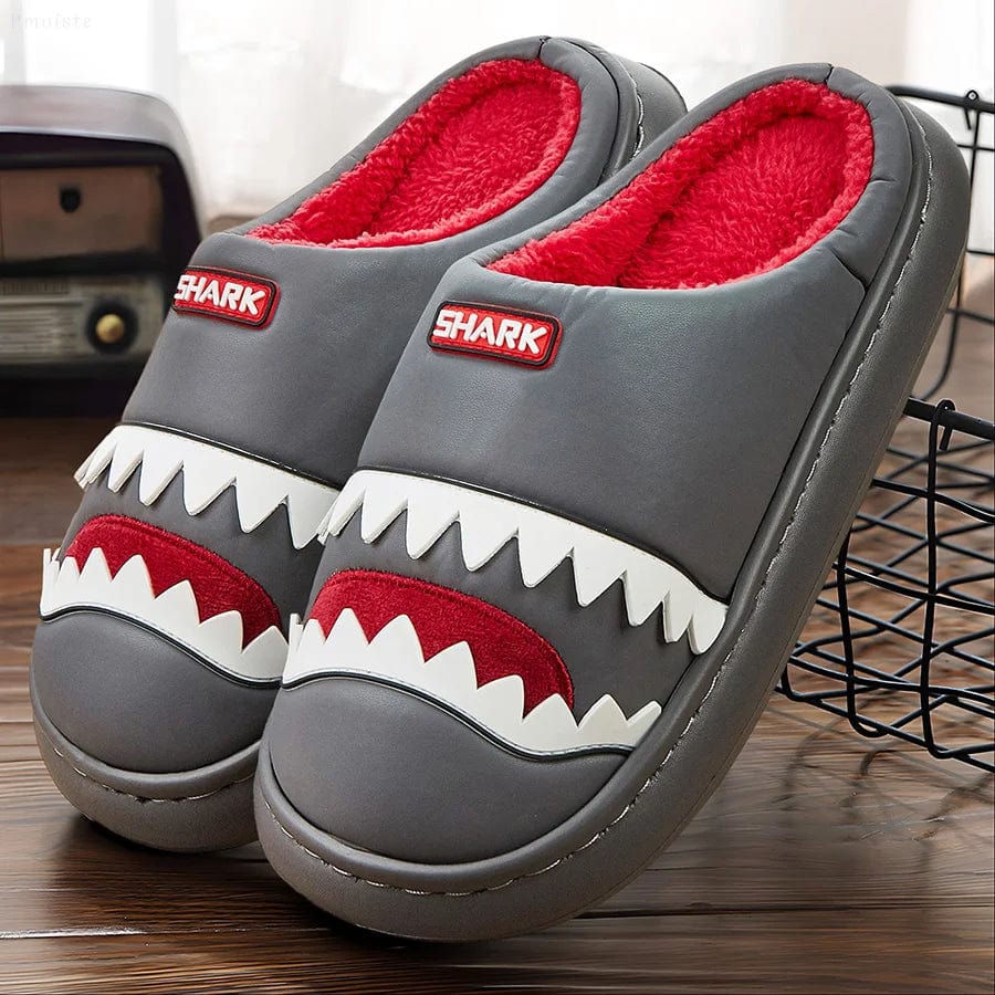 Chausson Rigolo Homme - Requin