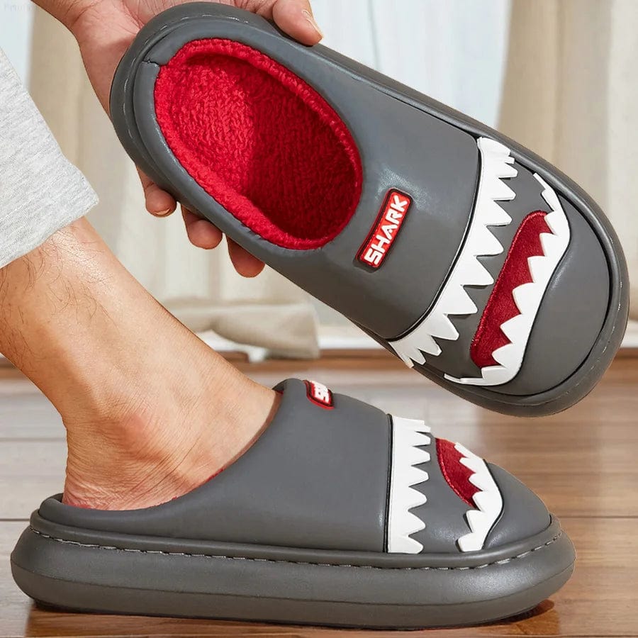 Chausson Rigolo Homme - Requin