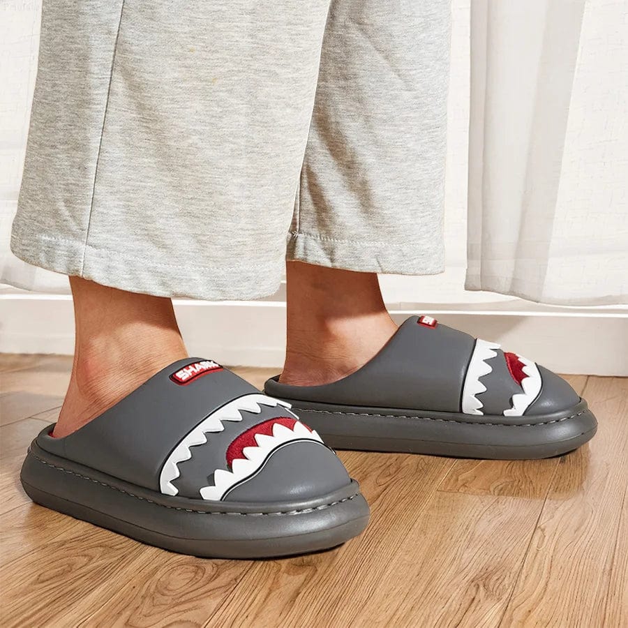 Chausson Rigolo Homme - Requin