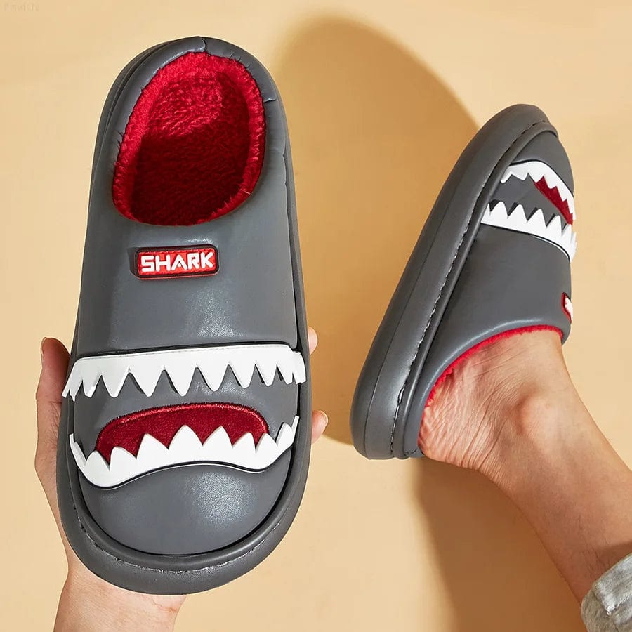 Chausson Rigolo Homme - Requin