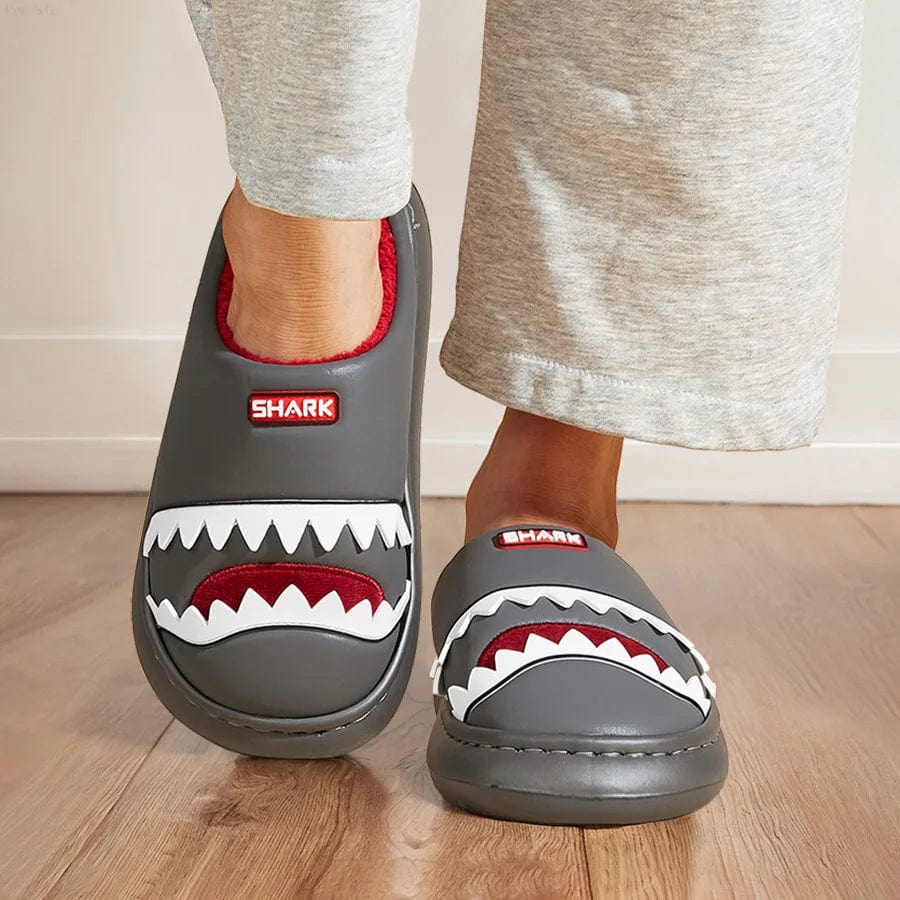 Chausson Rigolo Homme - Requin