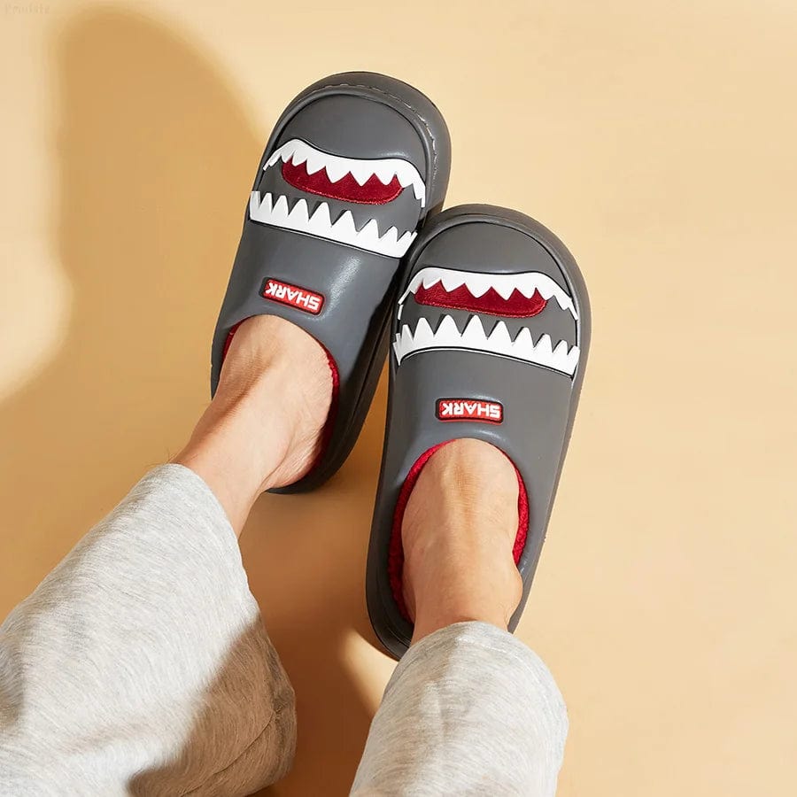 Chausson Rigolo Homme - Requin